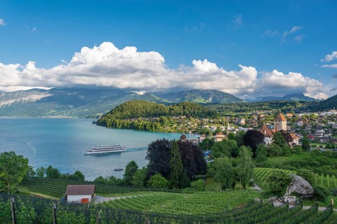 Castle Spiez on Lake Thun