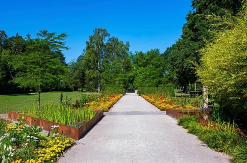 Flowerbeds along the way