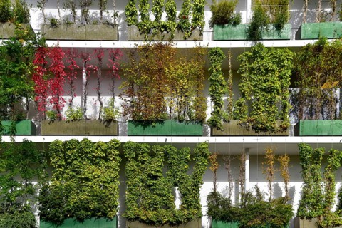 Greened house facade