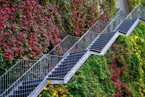 Staircase to green house facade