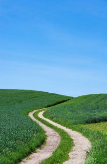 Curvy dirt road through agricultural landscape