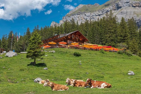 Mountain lodge Oeschinensee at Oeschinensee