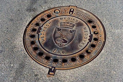 Gully cover