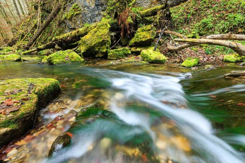 River Gauchach in the Gauchach Gorge