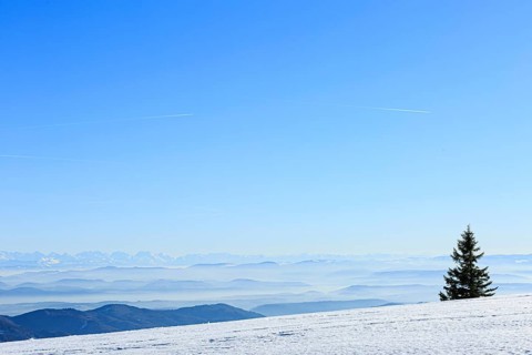 View from the snow-covered summit of the Belchen to mountain ranges and alpine chain Black Forest
