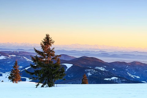 Evening atmosphere at the wintery summit of the Belchen at sunset