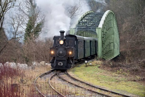 Narrow gauge railway