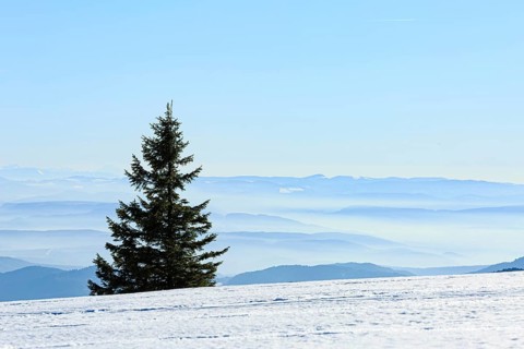 View from the snow-covered summit of the Belchen to mountain ranges and alpine chain Black Forest