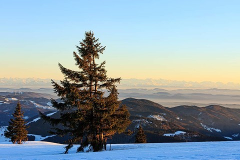 Evening atmosphere at the wintery summit of the Belchen at sunset