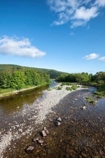 River landscape in Cape Breton Highlands National Park