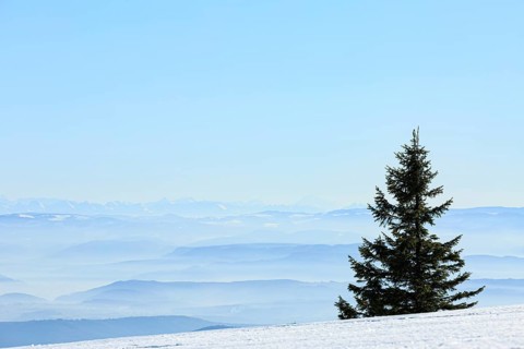 View from the snow-covered summit of the Belchen to mountain ranges and alpine chain Black Forest