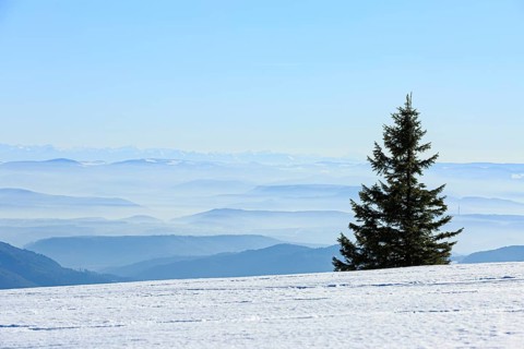 View from the snow-covered summit of the Belchen to mountain ranges and alpine chain Black Forest