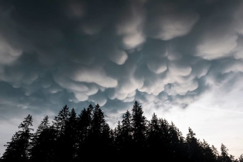 Mammoth clouds