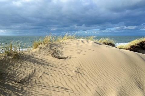 High overgrown dunes with sand drifts between Wenningstedt and Kampen