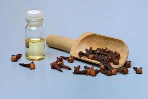 Bottle of clove oil and cloves on wooden spoon