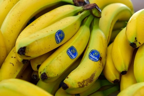 Chiquita Bananas