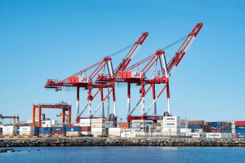 Two container gantry cranes in the cargo port