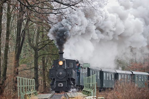 Narrow gauge railway