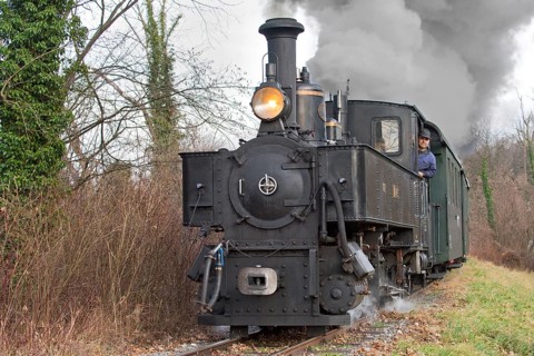 Narrow gauge railway
