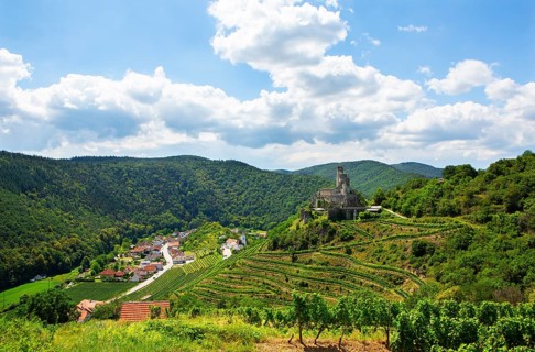 Castle ruin Senftenberg