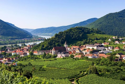 Vineyards