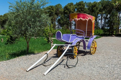 Carriage in Dolat Abad Garden