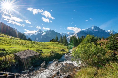 Mountain stream in bright sunshine
