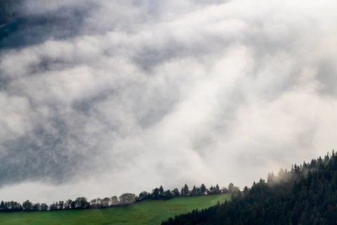 Forest and meadow with path in front of Talnebel