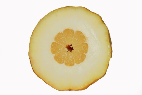 Halved citron