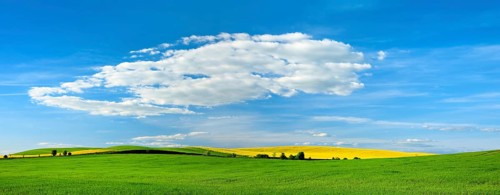 Panorama