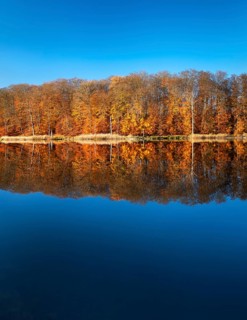 Autumn at Lake Schweingartensee