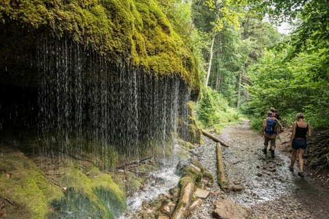Hikers