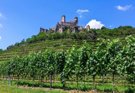 Wine-growing region