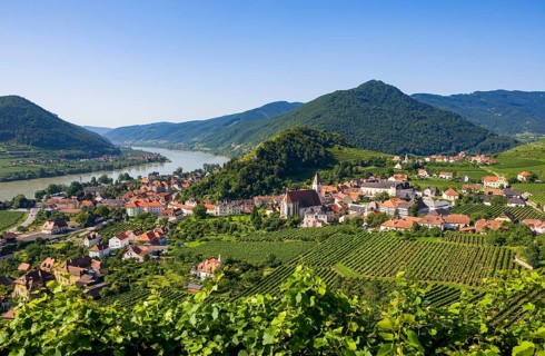 Vineyards