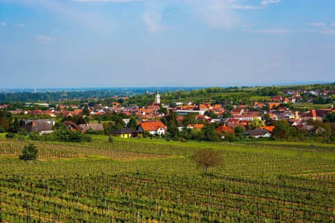 Vineyards