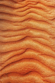 Wave structure