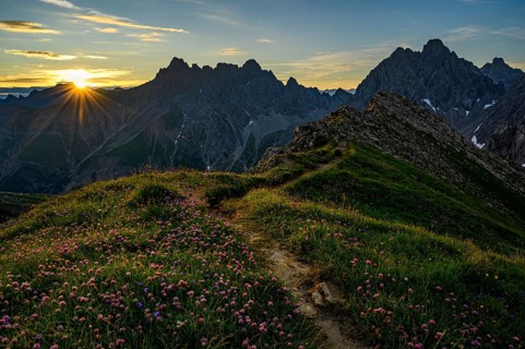 Mountain path with flower meadow at sunrise in mountain landscape
