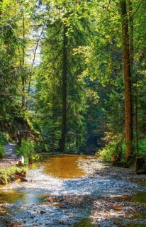 Mill hiking trail near Ebenau