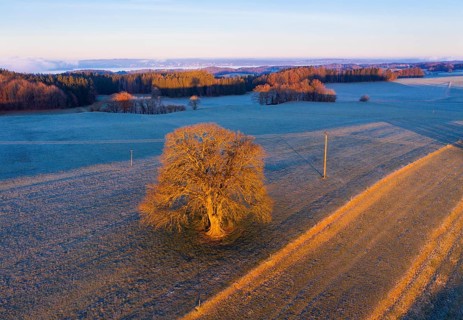 Cultural landscape at sunrise