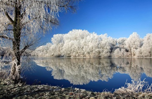 Cold winter day at the river Saale