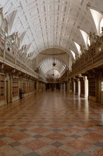Library with historical books
