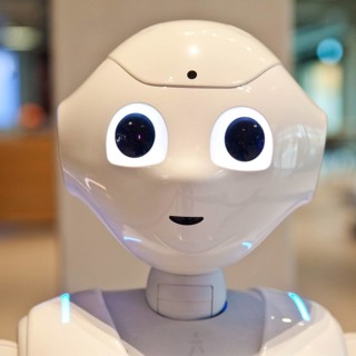 Head of the humanoid robot Pepper