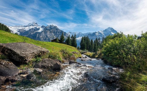 Mountain stream