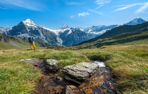 Hiker at a stream