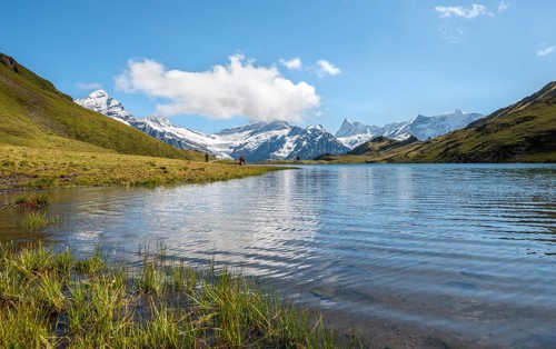 Bachalpsee with summits of the Schreckhorn and Finsteraarhorn