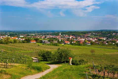 Vineyards