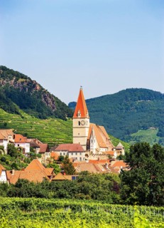 Parish church in front of vineyards