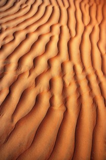 Wave structure