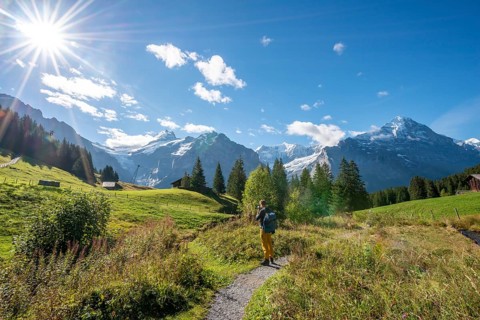 Hikers on the hiking trail to Bachalpsee