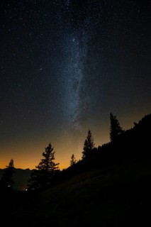 Milky Way in front of a group of trees in a mountain landscape